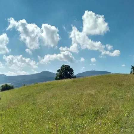 Nahe Inselsberg Wanderwege, Cleaning Included アパート ヴァルタースハウゼン