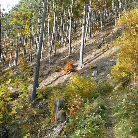 Nahe Inselsberg Wanderwege, Cleaning Included アパート